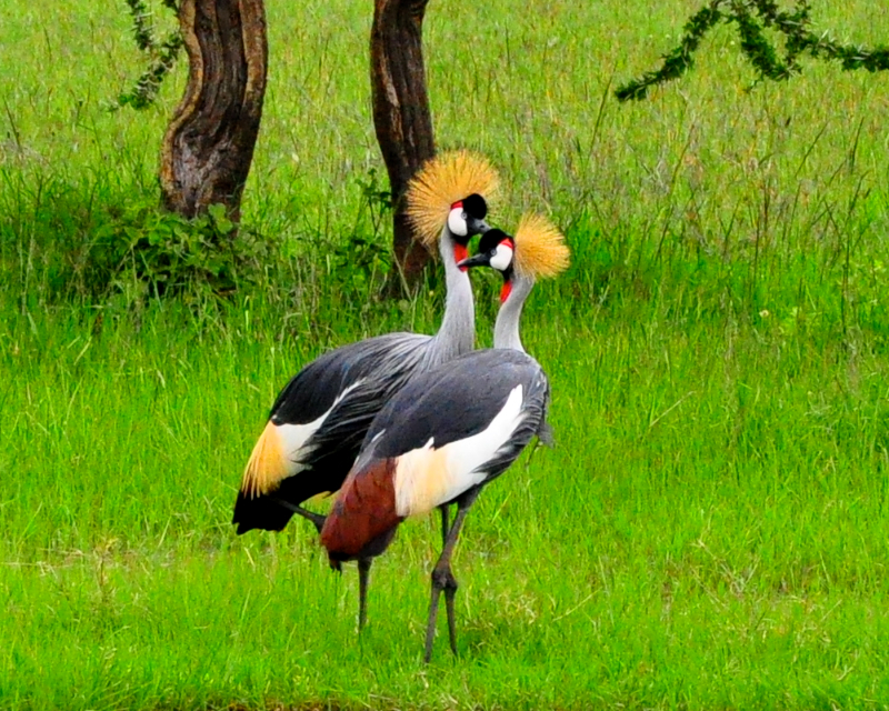 Melanie Heinrich Travel Images Africa